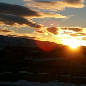 Meet your Posher, Faye